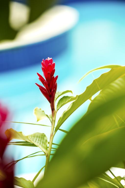 Hotel Villa Di Rimini Ubatuba Dış mekan fotoğraf